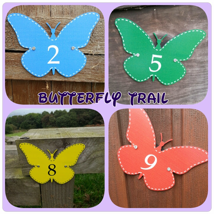 Butterfly Trail