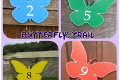 Butterfly Trail